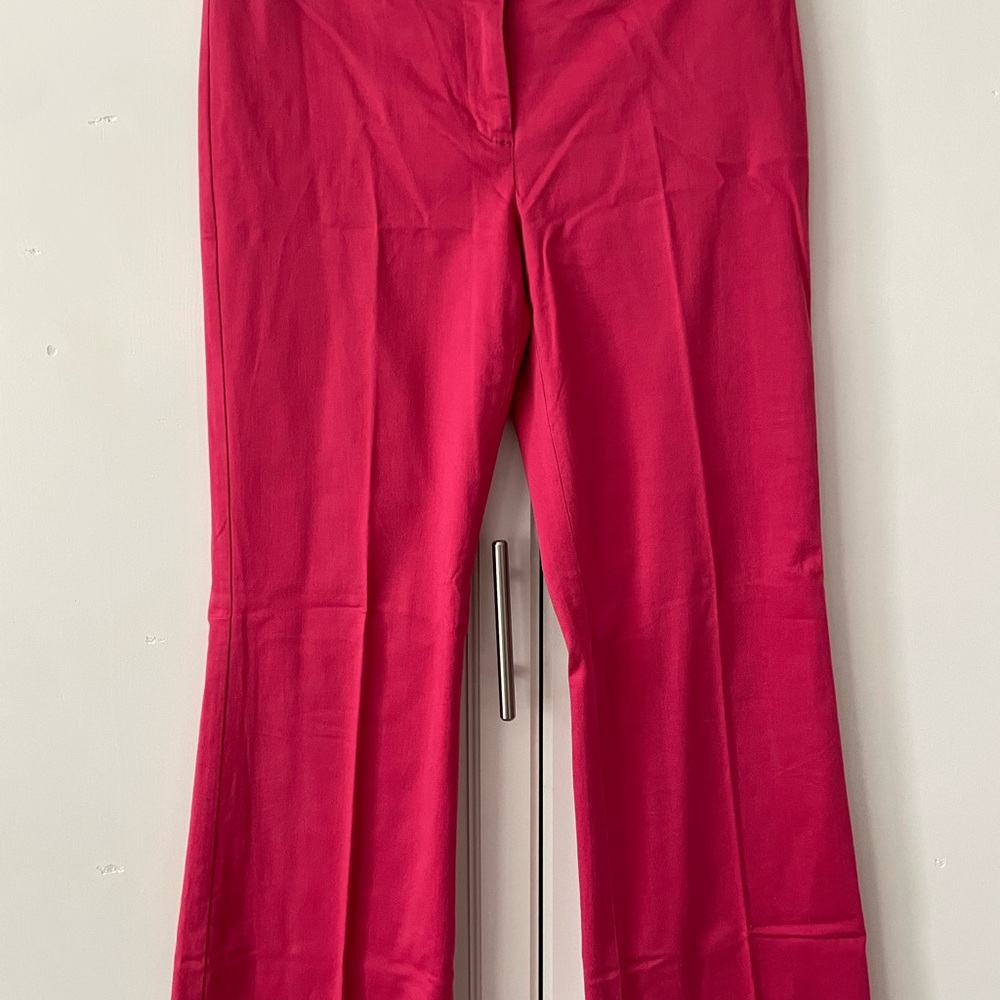 Women’s Express pants. Fushia color, straight leg & great condition.